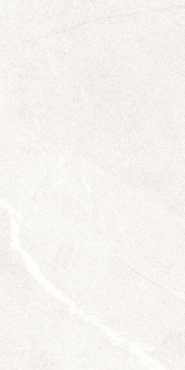 Dhara White Matte 12 x 24
